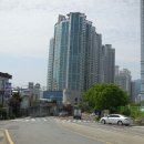 달맞이길 35 네이버블로그
