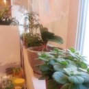 에덴뷰티 이미지