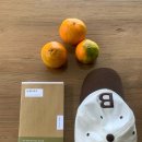 옥수민박 | 제주 일기