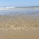 장삼포해수욕장 이미지