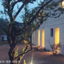 맨션자두