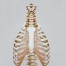 코코의원 이미지