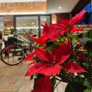 커피긱스(COFFEE GEEKS) 이미지