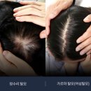 별헤어샵 이미지