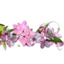 수동연세요양병원 이미지