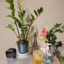 YJ메디컬 이미지