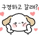 라비안스킨라인