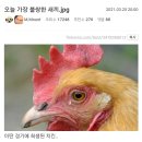 난다치킨