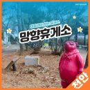 망향휴게소편의점 이미지