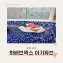 브릭스9 | [9개월 아기] 🏝️ 하베브릭스 아기 튜브 풀빌라 물놀이 후기