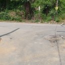 이종생 묘역 및 석물 이미지