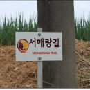 서해랑길 8코스 이미지