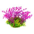 아쿠아테라 수족관 이미지