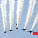 블랙이글 이미지