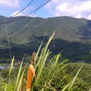 부들펜션 이미지