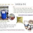 사과 당도(브릭스)향상- 스테비아와 유황발효액체비 (번역) improving apple Brix 이미지