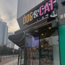 멍냥이 곳간 이미지