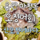 경안천로 | 용인 마평동 오징어회 맛집 산오징어바다 내돈내산 후기