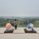 새한개량한우목장 | 서산한우목장 서산9경 힐링 여행지 서산 관광 일주일살아보기