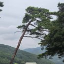 낙원목장 | [산너미 목장] 평창 육백마지기 근처 인생 산속 캠핑장 추천! (2편 : 2박 3일의 차박 즐기기)