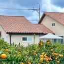 스테이장유7 이미지