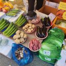 파레스사우나 이미지