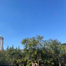 리미닝