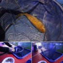 신월낚시터 | 서울 이색데이트, 커플 실내낚시터 :: 가자실내낚시터 길음본점