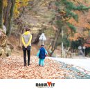 가을 - 16847 | 가을