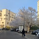 꾸참 이미지