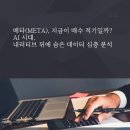 메타(META) 티스토리
