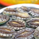 영어조합법인 바다의 아침 이미지