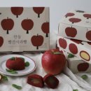 🍎 [내돈내산] 안동 빨간 사과빵 후기,사과잼과 홍국쌀의 쫄깃한 만남! 입안 가득 퍼지는 안동의 상큼함