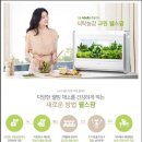 LG, 삼성이 식물재배기 시장 뛰어든 이유 이미지