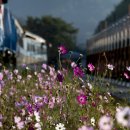 하동레일파크 이미지