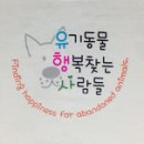 압구정메이트동물병원 이미지