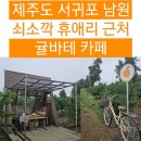 돌코롬봉봉 | 쇠소깍 근처 카페 귤바테 직접 농사지은 귤을 이용한 음료와 디저트