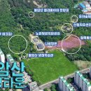 불암산공원서울유아숲체험장 Daum카페