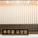 부추꽃센터