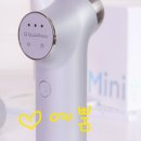 미니주동물병원 | 쿼드쎄라 미니튠 불독살 찐삭제 후기 2달 홈케어