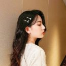헤어일리 이미지