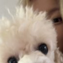 듀
