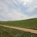 종우목장 이미지