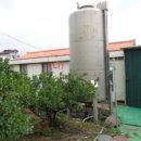 표선면-13 이미지