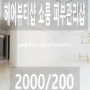 A0247 네이버블로그