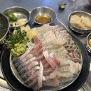 오로라회센타 | 수원 매탄동 영통구청 중심상가 횟집 맛집 단체 회식 술집 추천 오로라회센타 모듬회