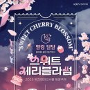 과천 경마공원 주말 나들이 가이드: 아이와 함께 즐기는 법 &amp; 경마 배팅 후기