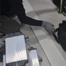 이거 쓰려고 블로그 살렸다. 벌레자비 빌라 바퀴벌레 퇴치 후기