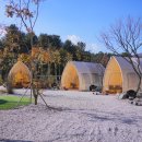 양주글램핑코리아애견캠핑장 | 애견동반 글램핑 캠핌장 강아지 캠핑 비트윈 캠크닉 당일 후기