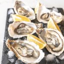 굴이야기 이미지